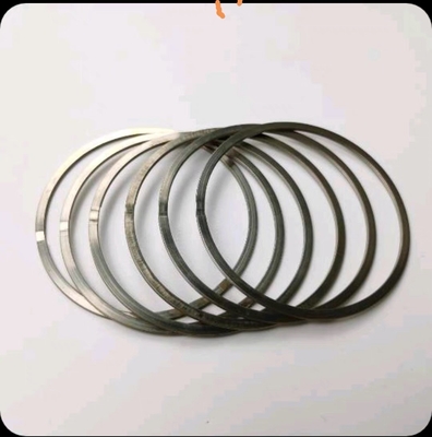 BF800C Staubdichte Flanschplattenring 320052502 Edelstahlhalterring für Asphaltpflastersteinersatzteile